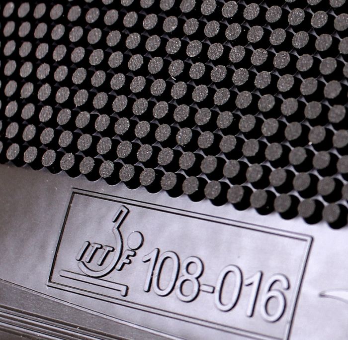 SpinLord Gipfelsturm